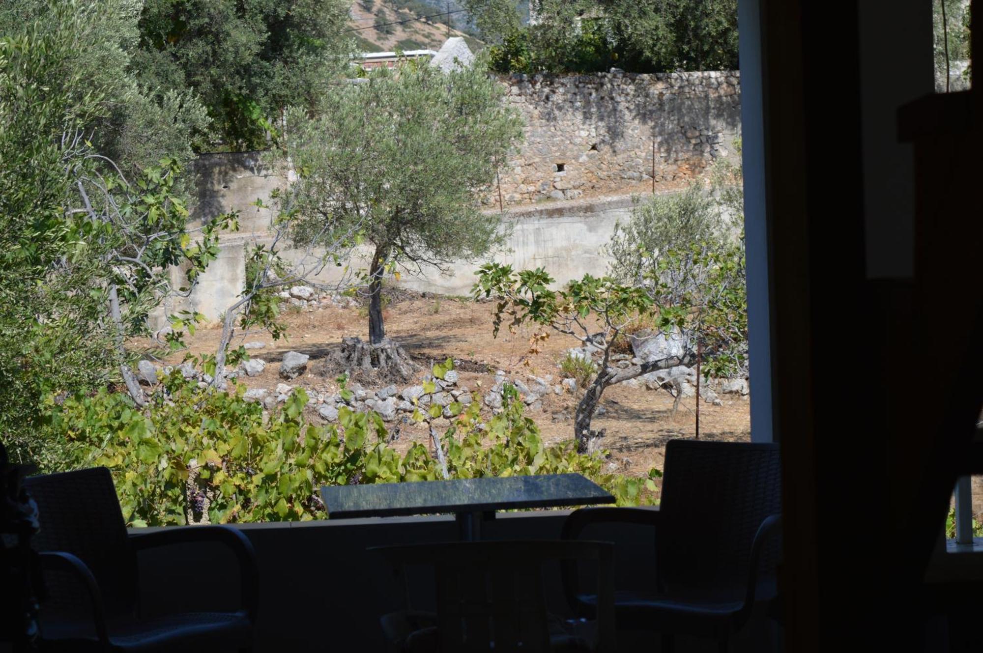 Tolis Rooms Himare Exterior foto