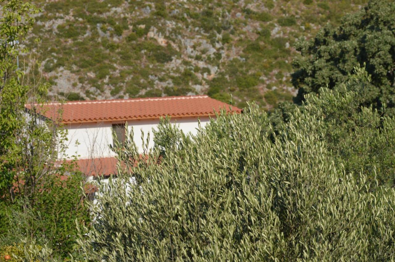 Tolis Rooms Himare Exterior foto