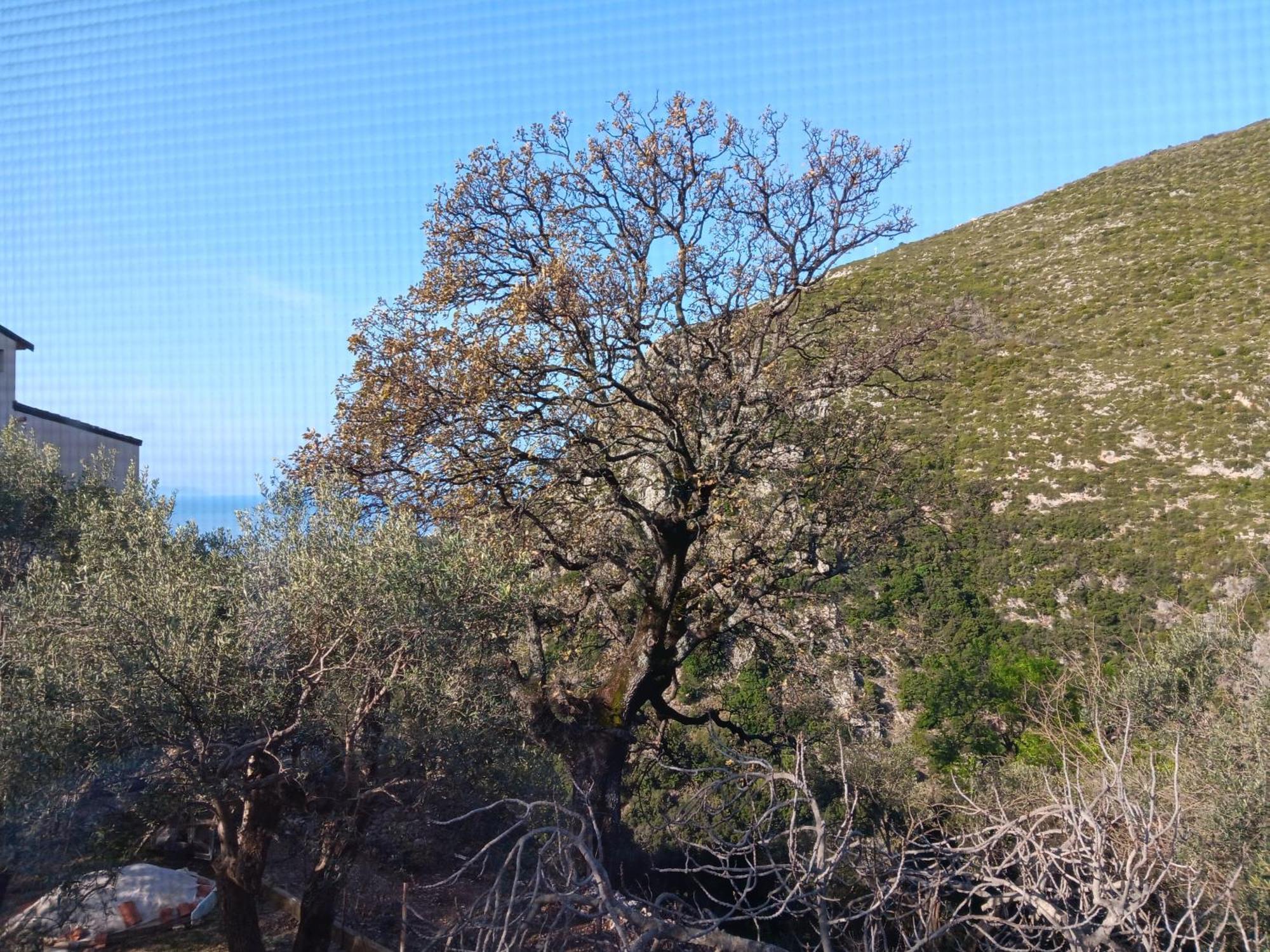 Tolis Rooms Himare Exterior foto